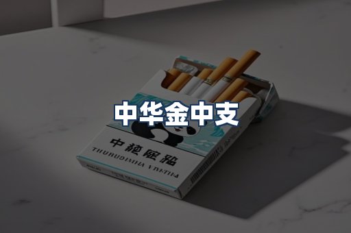 中华金中支